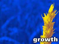 growth - powerpoint backgrounds