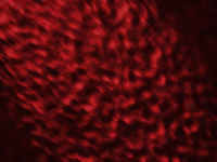 hell cave - powerpoint template