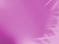 tickled pink - point to screen - powerpoint backgrounds